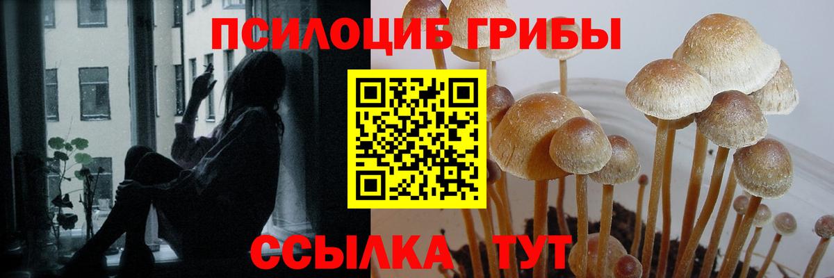 Псилоцибиновые грибы Psilocybe  Вход с VPN  Галлюциногенные грибы Psilocybe  Славянск-на-Кубани 